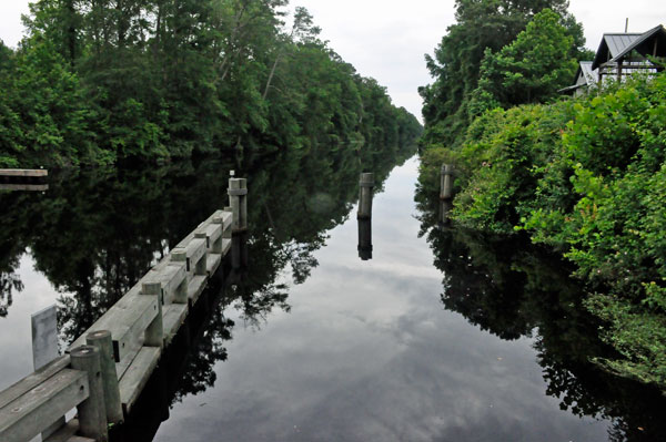 the black waters at Dismal Swamp State Park